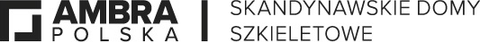 Ambra Polska — logo
