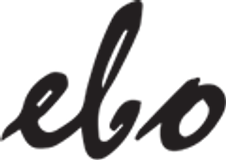 EBO Domki Drewniane — logo